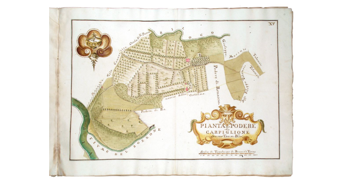 Pianta del podere di Carpiglione. Staia 435, tavole 51, braccia 24 7/8