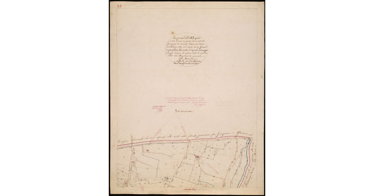 T. 7 [Quinto Circondario]