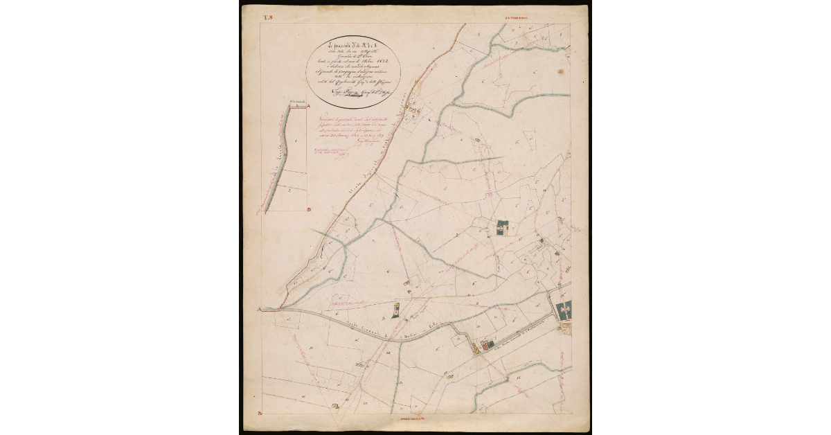 T. 8 [Quinto Circondario]