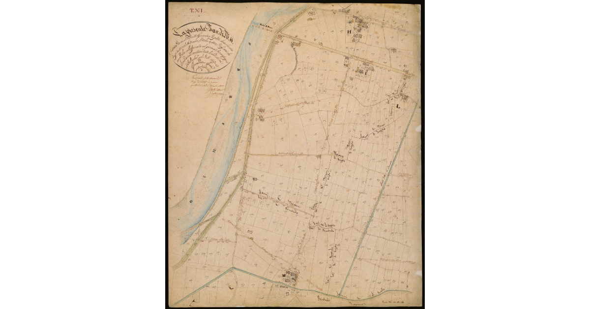 T. 11 [Quinto Circondario]