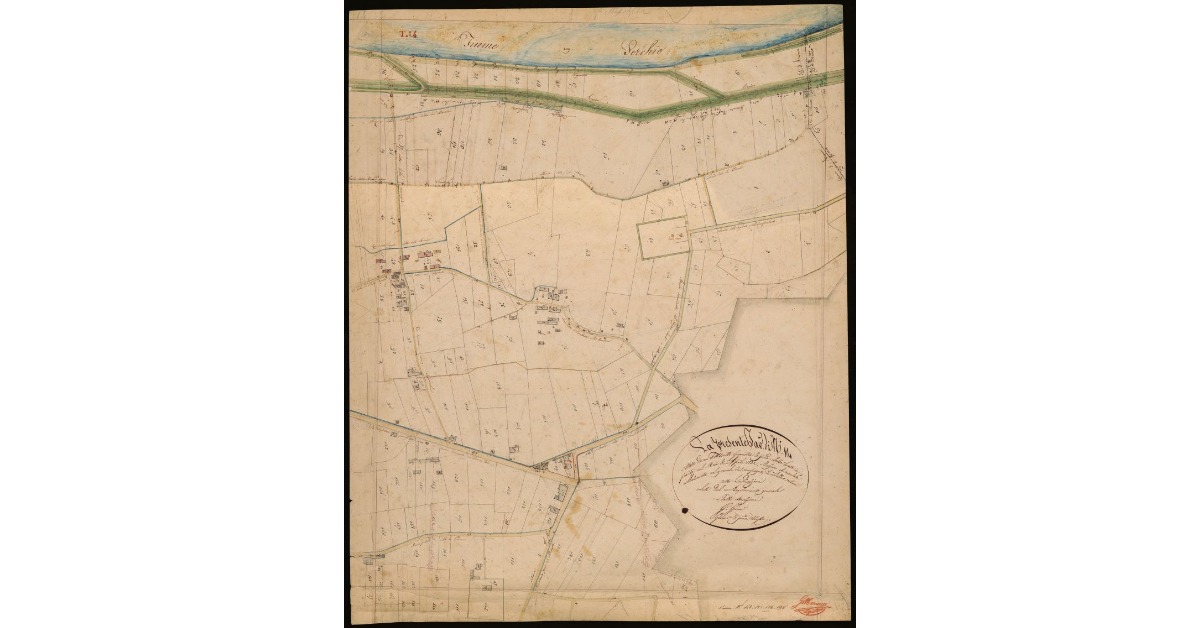 T. 14 [Quinto Circondario]