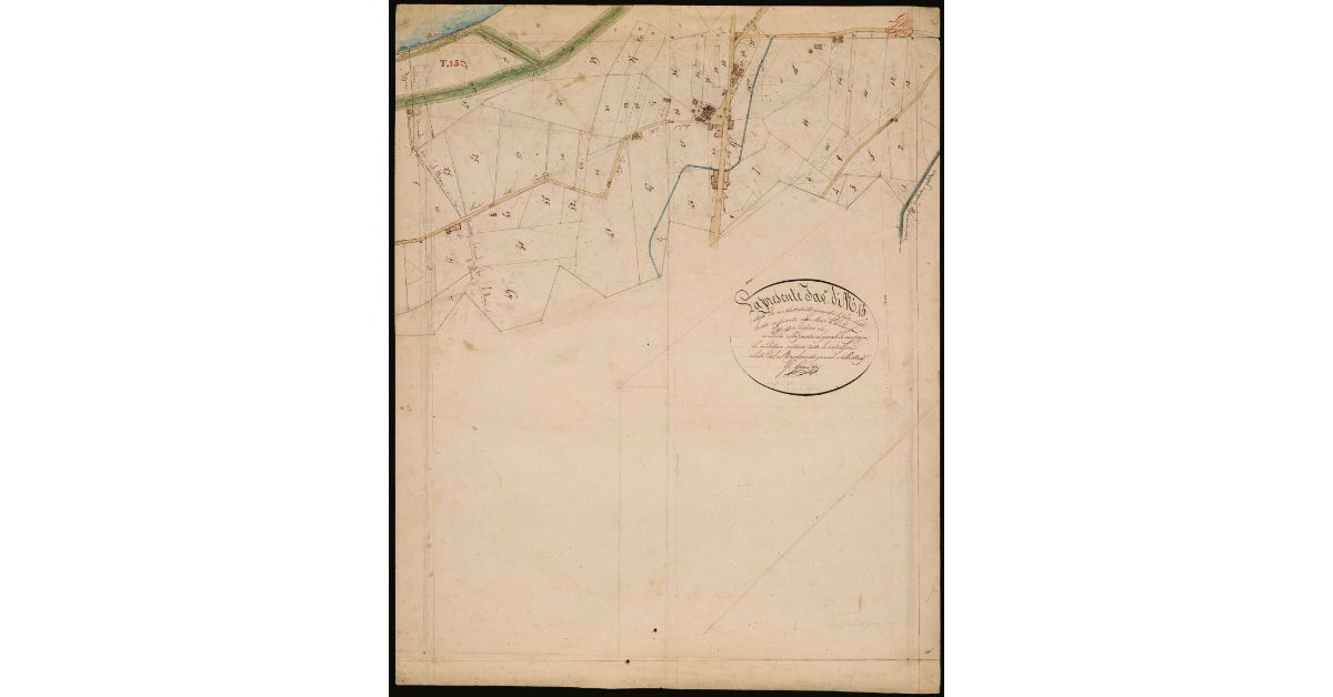 T. 15 [Quinto Circondario]