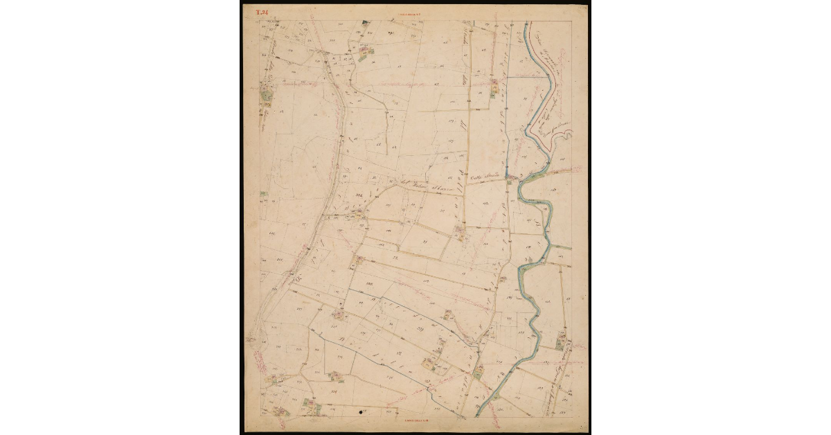 T. 24 [Quinto Circondario]