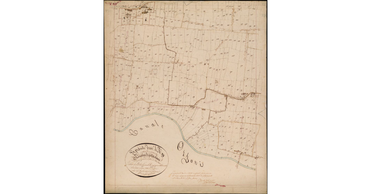 T. 29 [Prima Parte-Quinto Circondario]