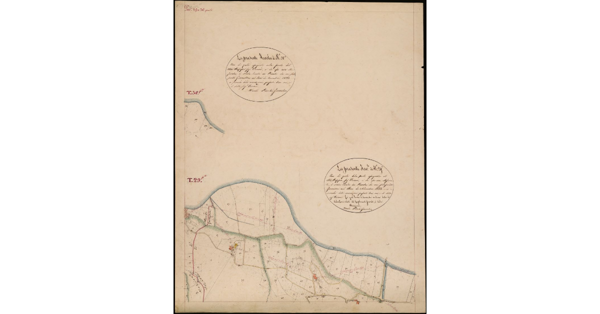 [T. 29 Seconda Parte e T. 30-Quinto Circondario-Supplementi]