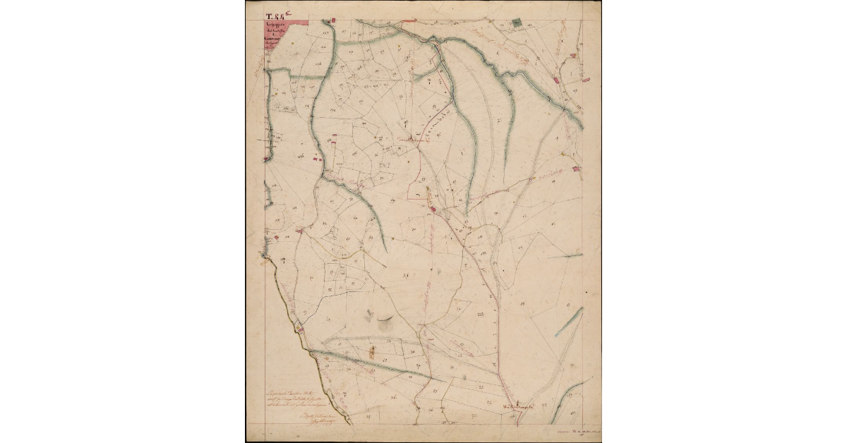 T. 44 [Prima Parte-Quinto Circondario]