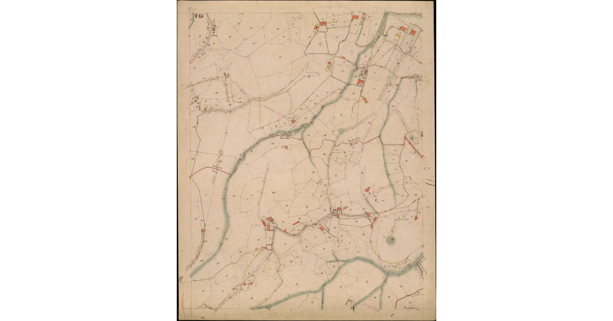 T. 46 [Quinto Circondario]