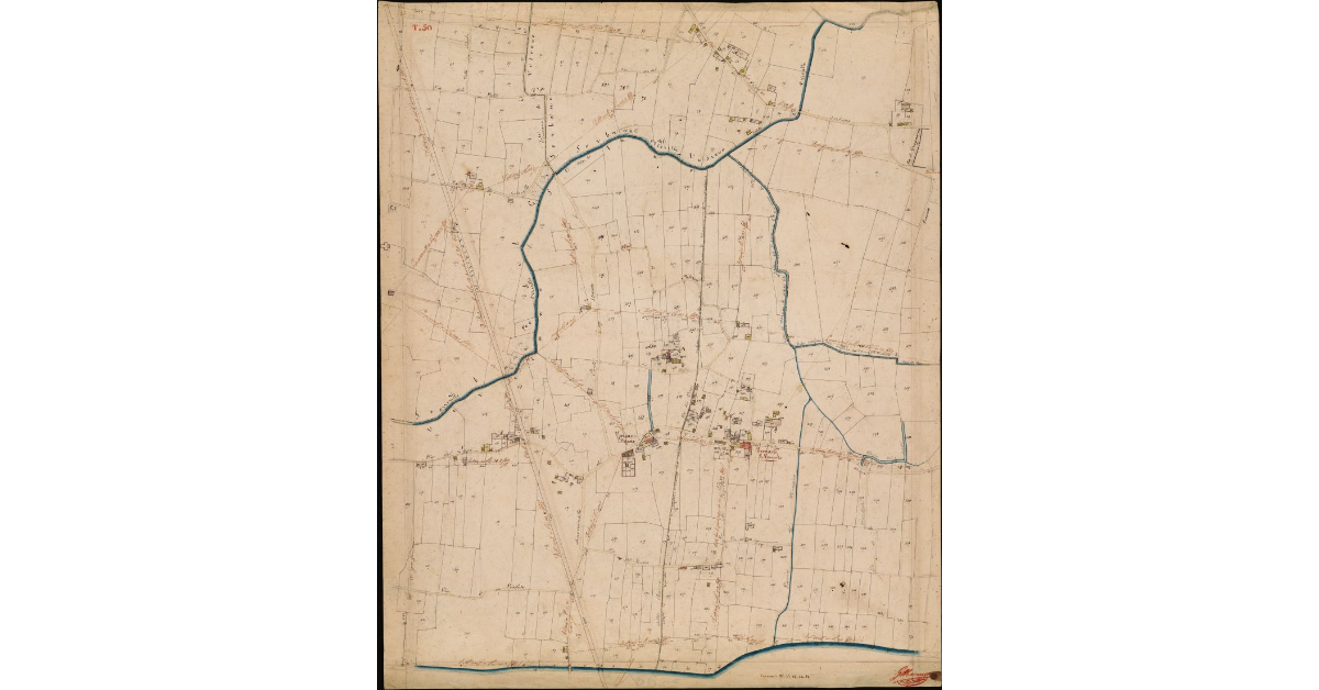 T. 50 [Quinto Circondario]