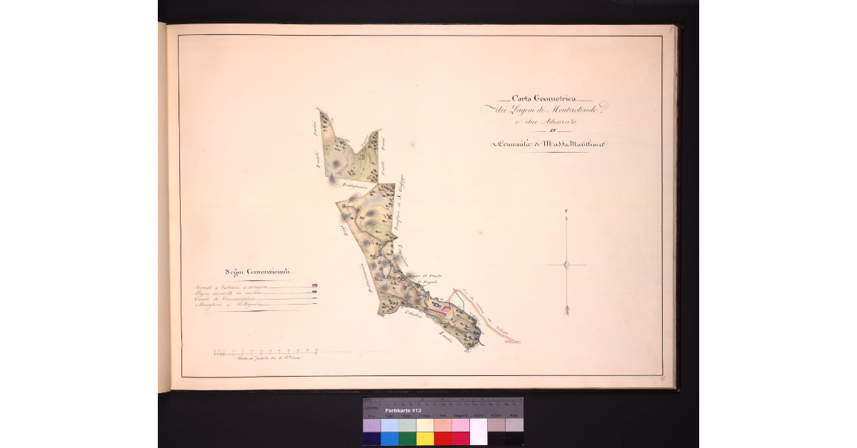 Carta Geometrica dei Lagoni di Monterotondo e sue adiacenze