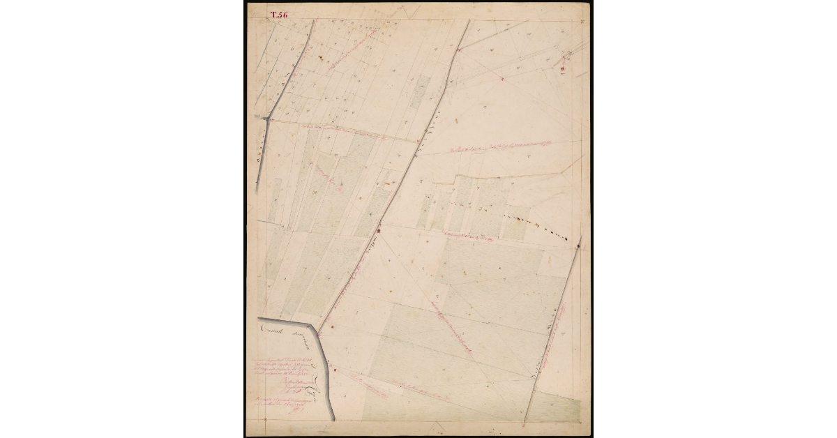 T. 56 [Quinto Circondario]