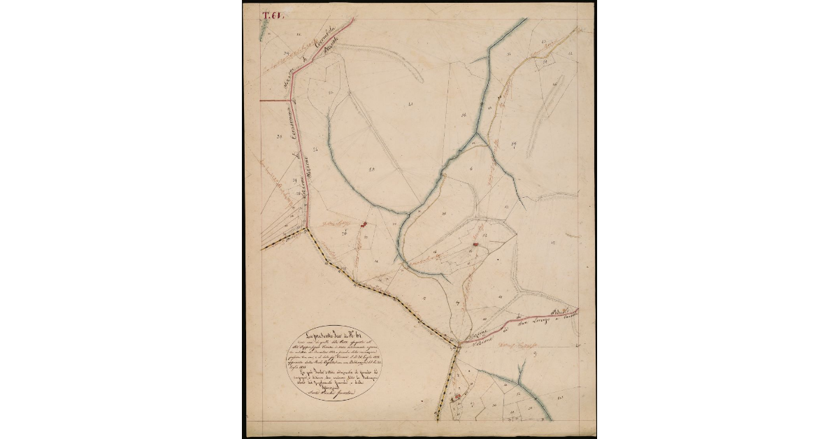 T. 61 [Quinto Circondario]