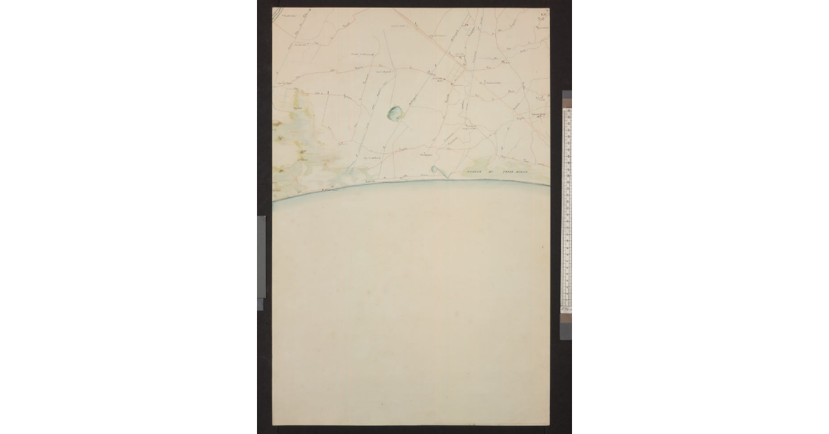 Mappa Topografica della Pianura Piombinese redatta dalle carte del Catasto dall’I. e R. Laboratorio