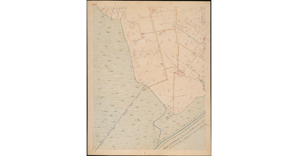 T. 75 [Seconda Parte-Quinto Circondario]