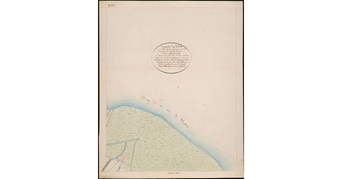 T. 103 [Quinto Circondario]