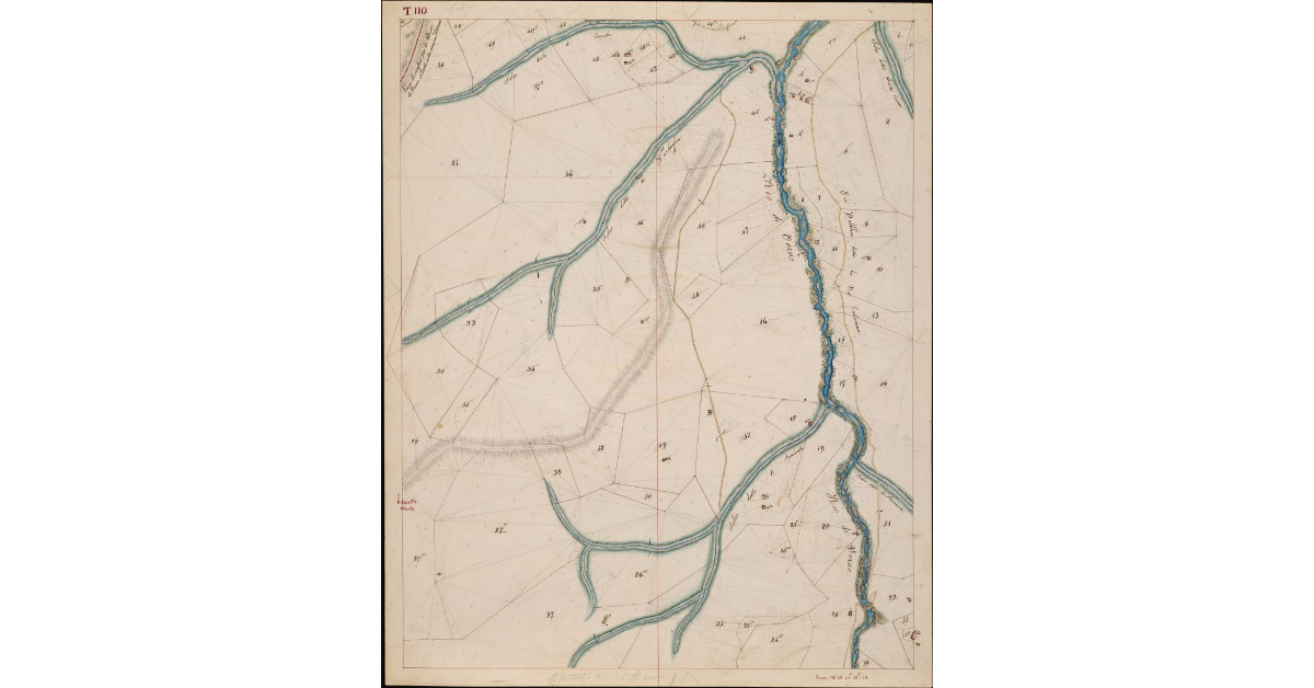 T. 110 [Quinto Circondario]