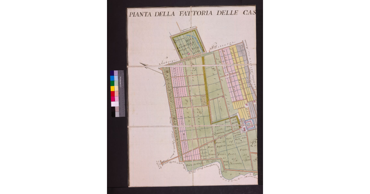 Pianta della Fattoria delle Cascine, e del Poggio a Caiano di SAR