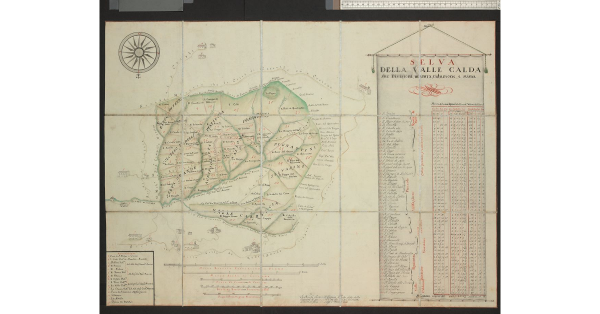 Selva della Valle Calda. Sue divisioni, misura, riduzione e stima