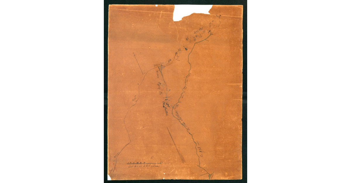 N.8 - Pianta Geometrica della R.Bandita del Teso, formata con i lucidi, estratti dalle Mappe del Catasto legale dell'anno 1787 esistente nell'Archivio della Cancelleria di S.Marcello