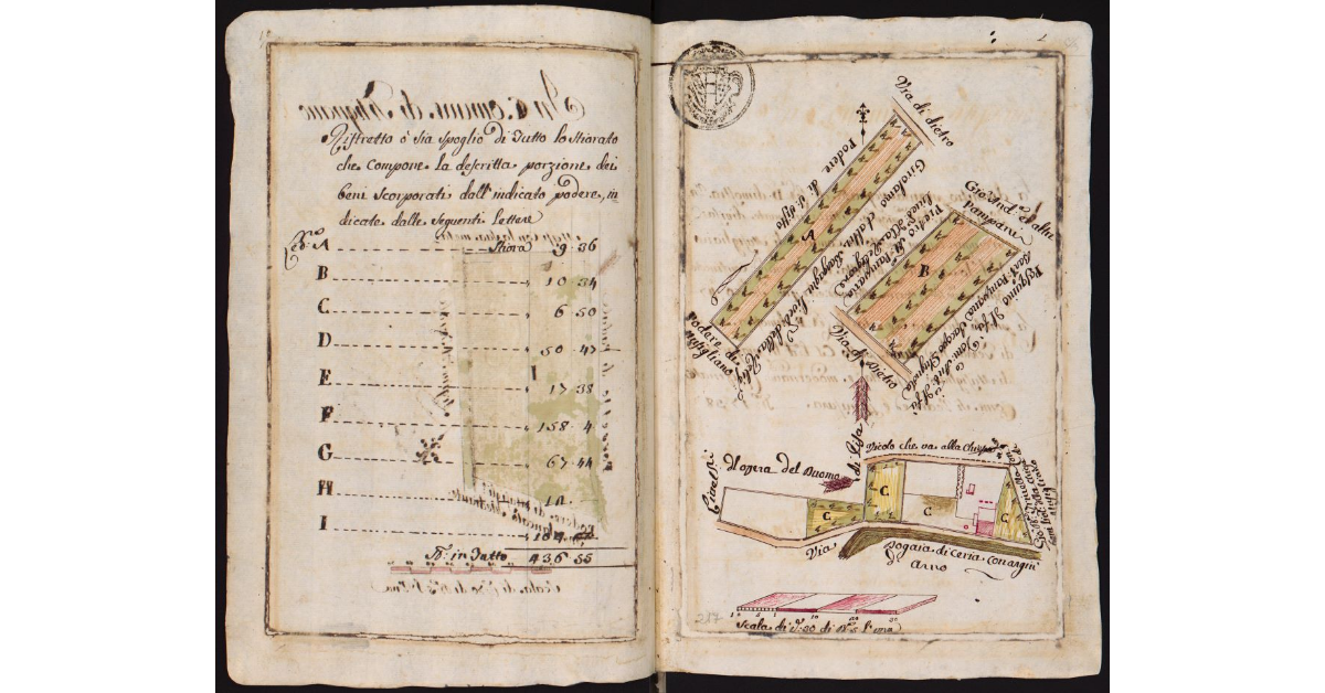 [Appezzamenti di terreno del podere di Casa Bianca]