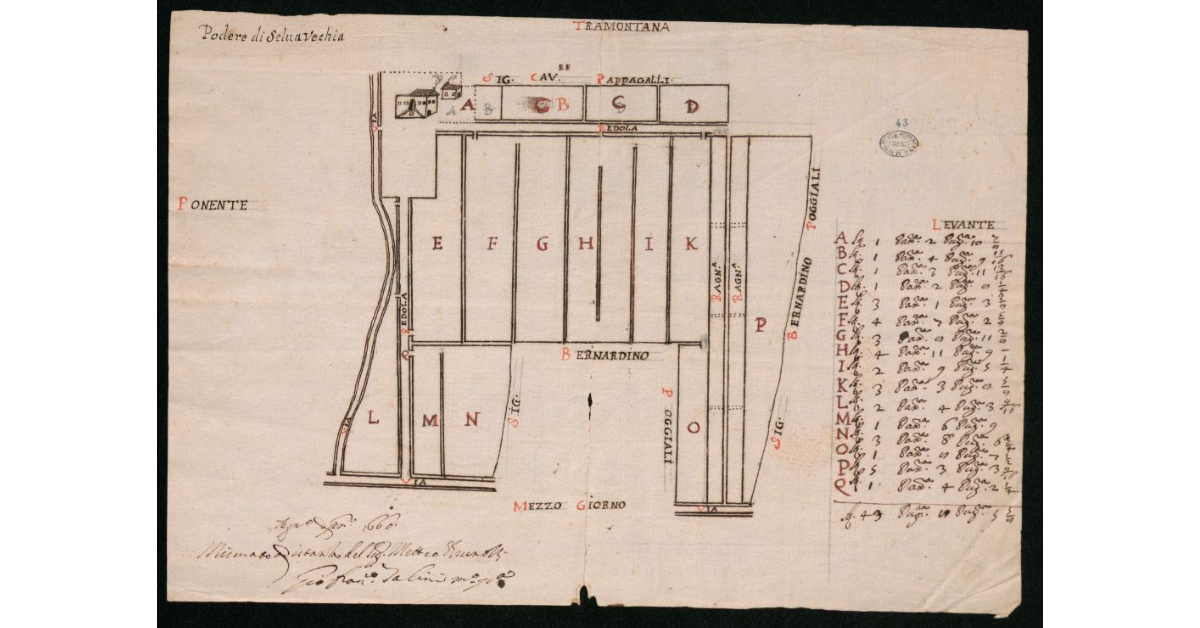 Podere di Selvavechia