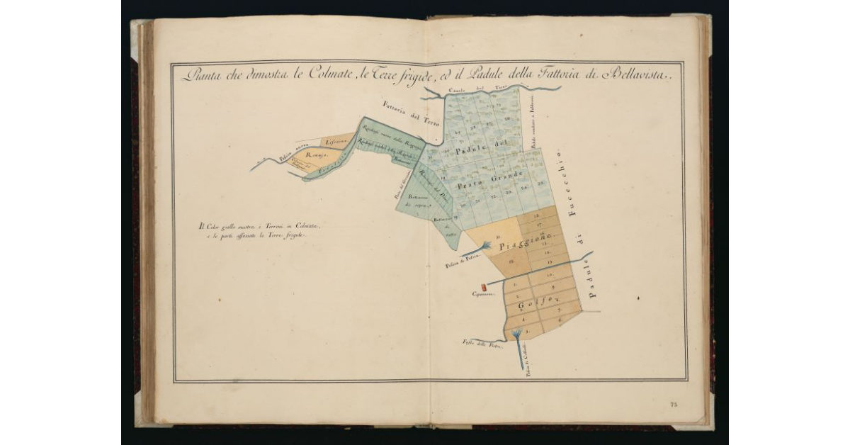 Pianta che dimostra le Colmate, le Terre frigide, ed il Padule della Fattoria di Bellavista