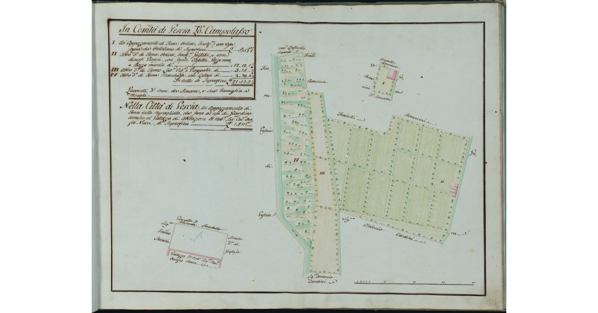[Appezzamenti in località Campolasso a Pescia]
