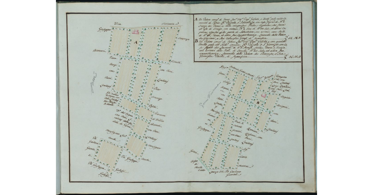 [Poderi di Pozzale o Salvatozzo e di San Gromizio]