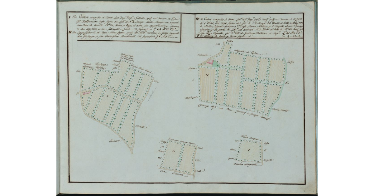 [Due poderi in località Debbia di Pescia e l'Olmo di Montecarlo]