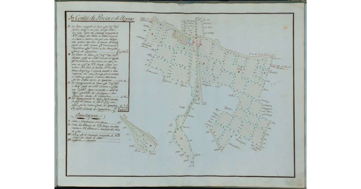 [Due poderi e pezzi di terra nelle Comunità di Pescia e di Uzzano]