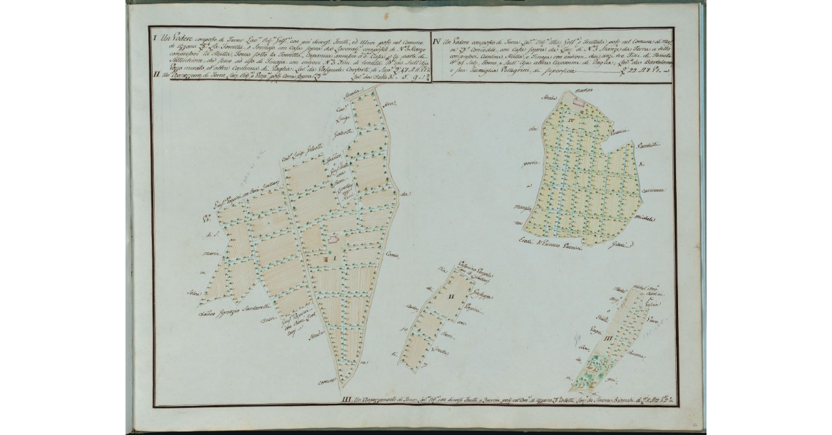 [Due poderi in località La Torretta a Uzzano e Concedde a Massa]