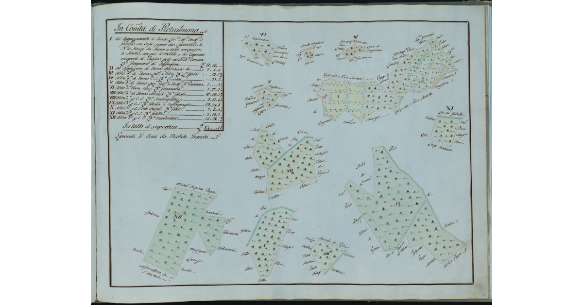 [Podere di Gragnano in Comunità di Pietrabuona]