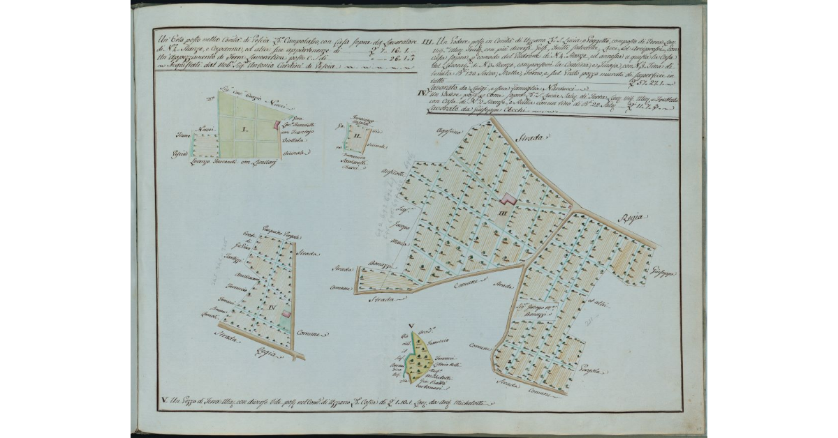 [Tre poderi nelle Comunità di Pescia e Uzzano]