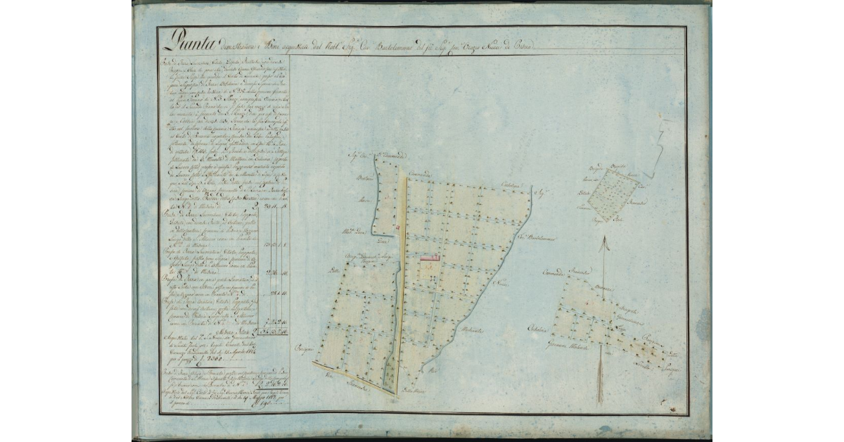 Pianta dimostrativa i beni acquistati dal nobile Sig.e Cav.e Bartolommeo del fu Sig.e Cav.e Orazio Nucci di Pescia