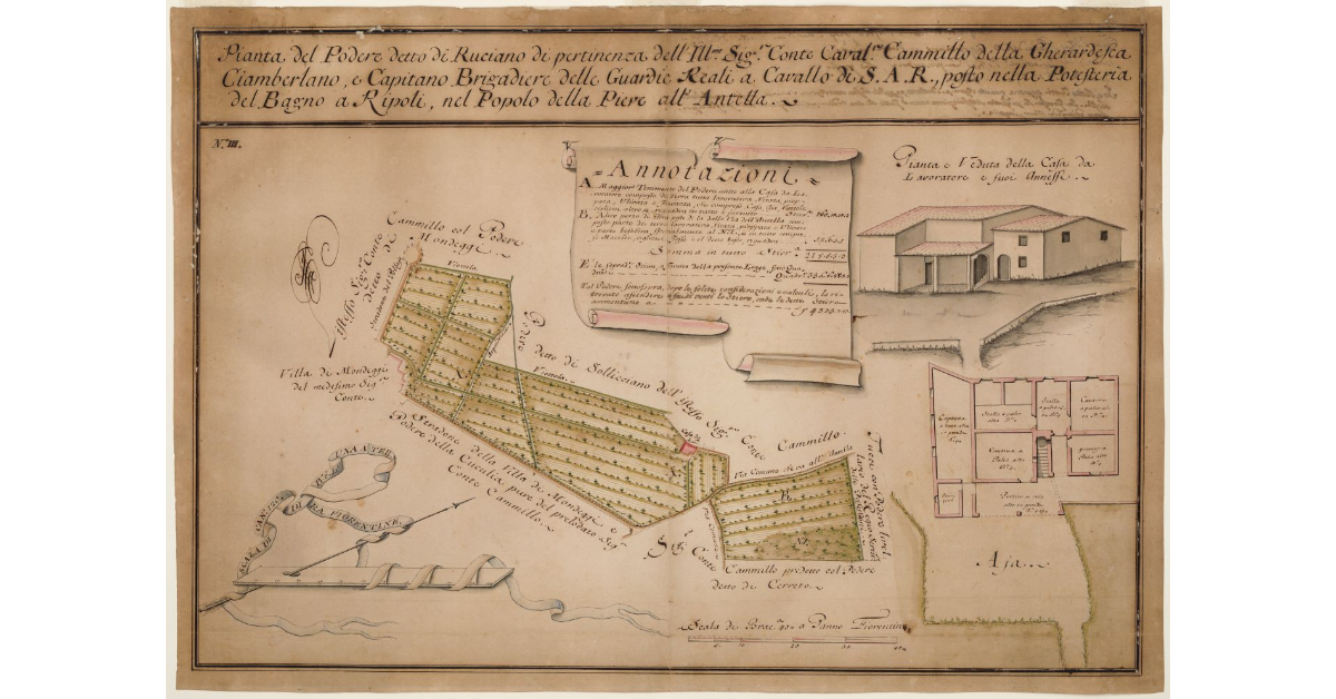 Pianta del Podere detto di Ruciano [...]