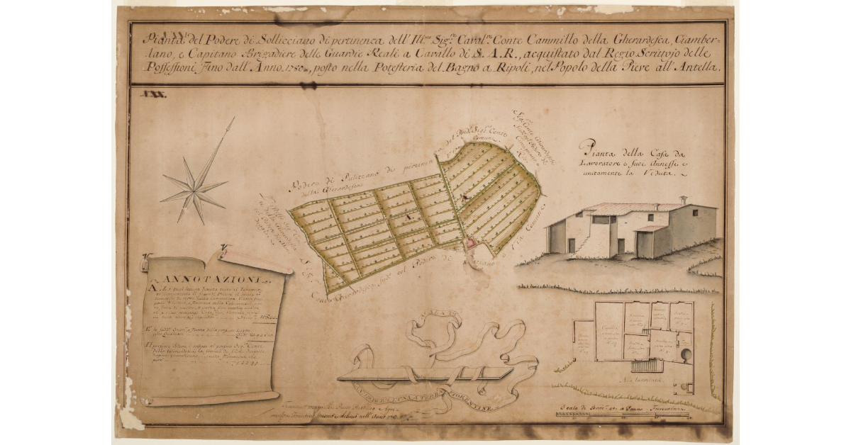 Pianta del Podere di Sollicciano [...]