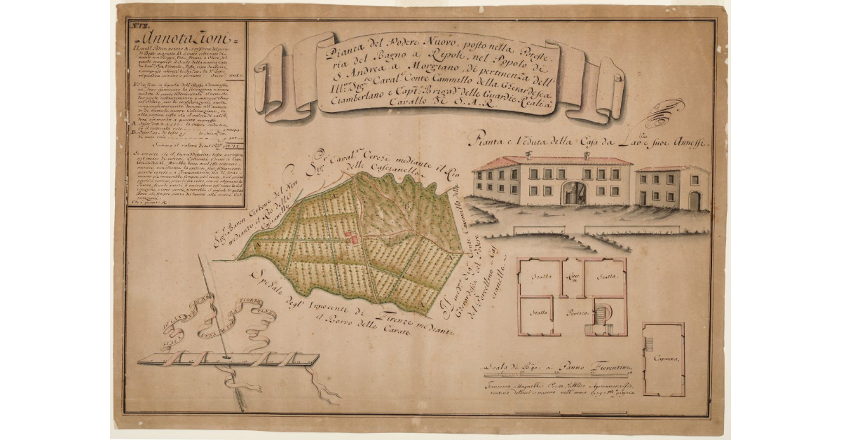 Pianta del Podere Nuovo [...]