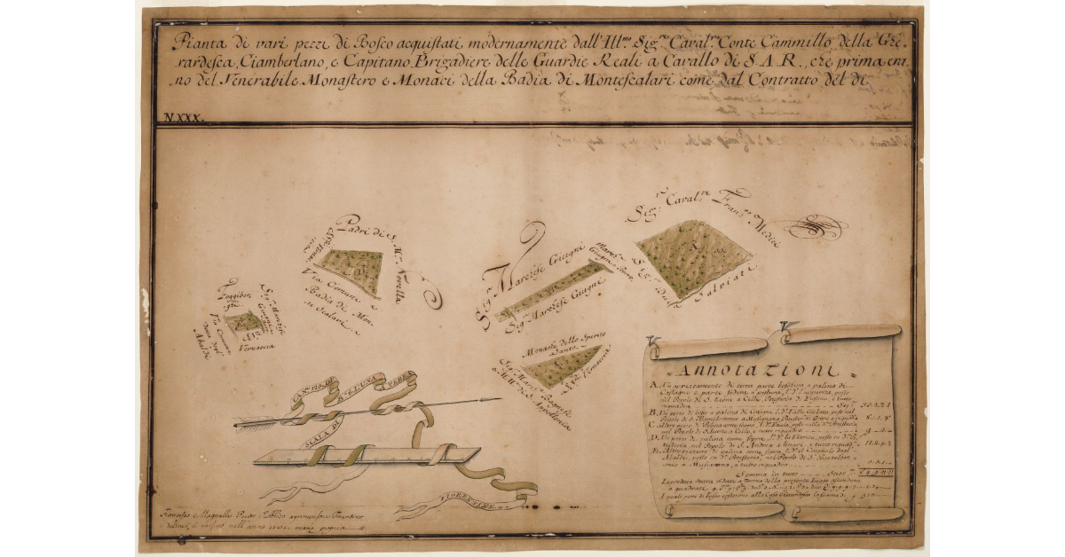 Pianta di vari pezzi di bosco acquistati modernamente [...]