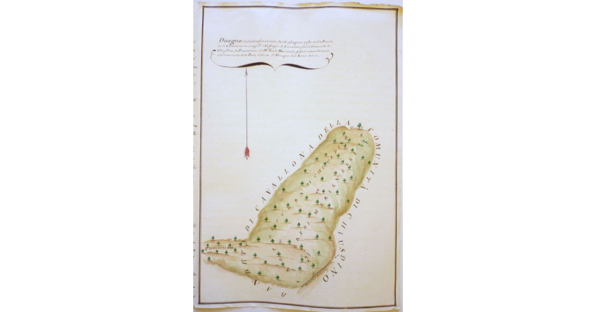 Disegno della Confinazione del Castagneto posto nella Bandita di Cavallona in luogo detto i Castagni di Cavallona fra la Comunità di Chiusdino, la Propositura, e li Signori Eredi Marianelli, fissata concordemente coll'intervento delle Parti