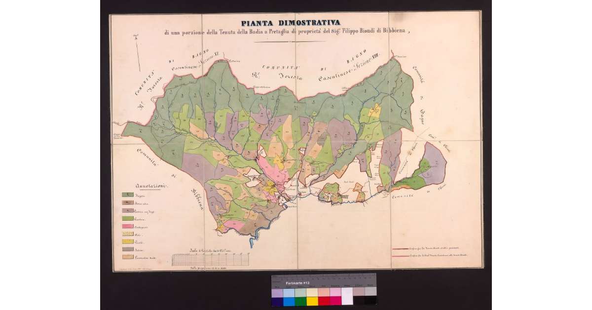 Pianta dimostrativa di una porzione della tenuta della Badia a Prataglia di proprietà del Sig. Filippo Biondi di Bibbiena