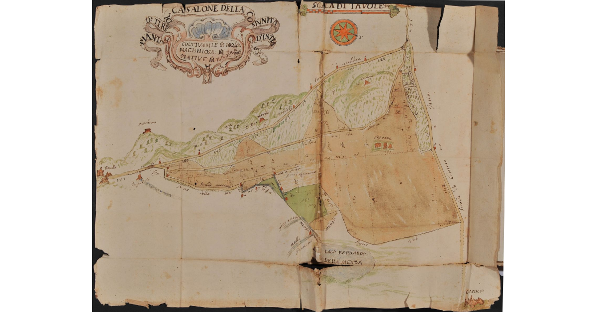 Pianta delle Terre del Casalone della comunità d'Istia