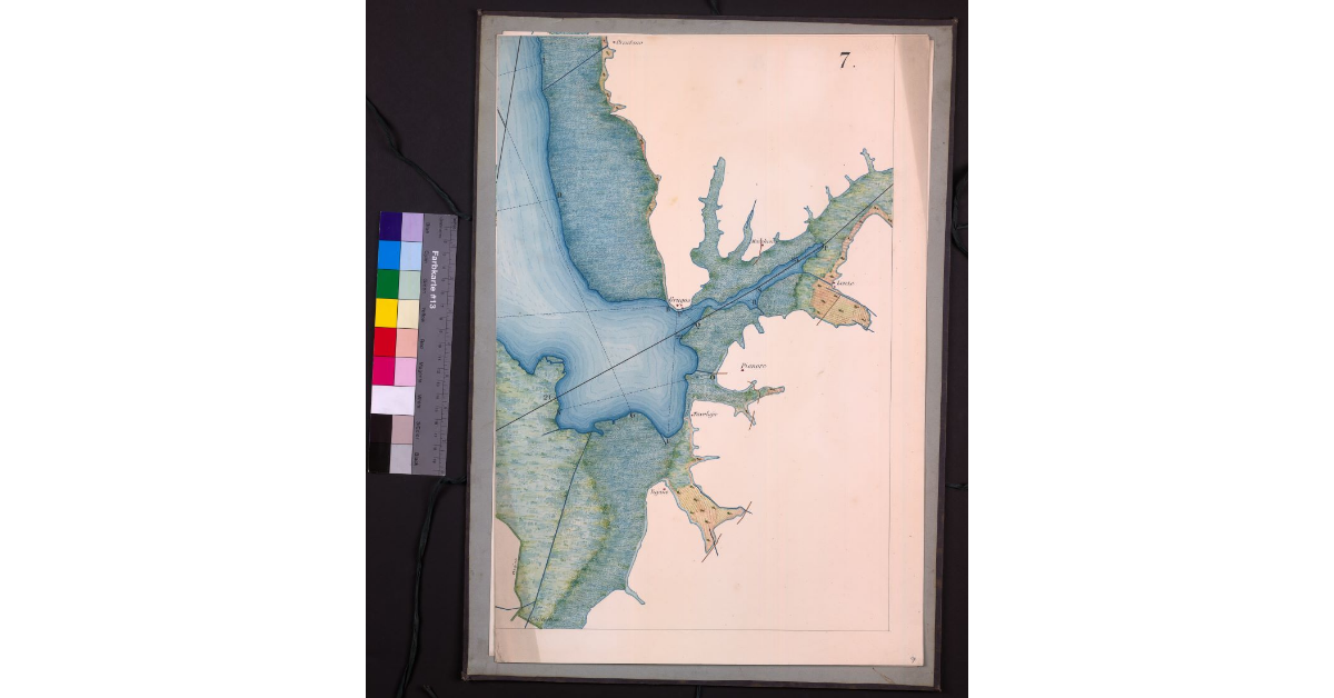 Mappa geometrica del lago di Bientina