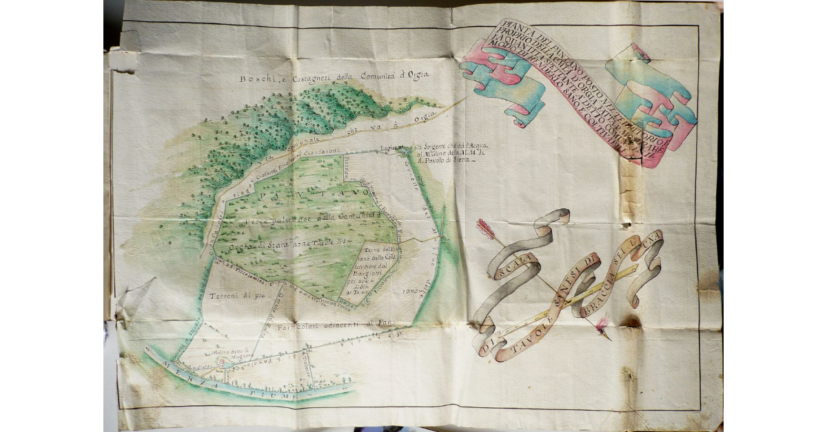 Pianta del Pantano posto nel territorio, e proprio della comunità d'Orgia fatta per mostrare la quantità spettante a detto comune ed il modo di renderlo sano, e coltivabile