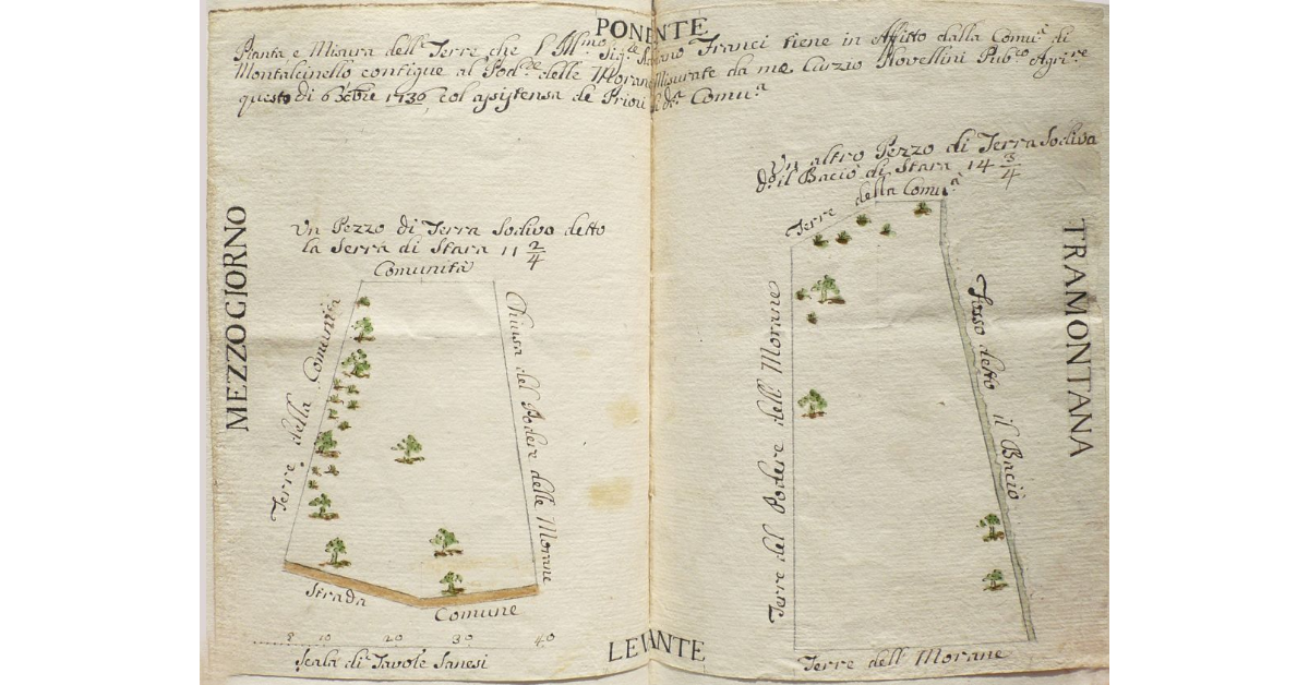Pianta, e Misura delle Terre che l'Illustrissimo Sigore Adriano Franci tiene in Affitto dalla comunità di Montalcinello contigue al Podere delle Morane