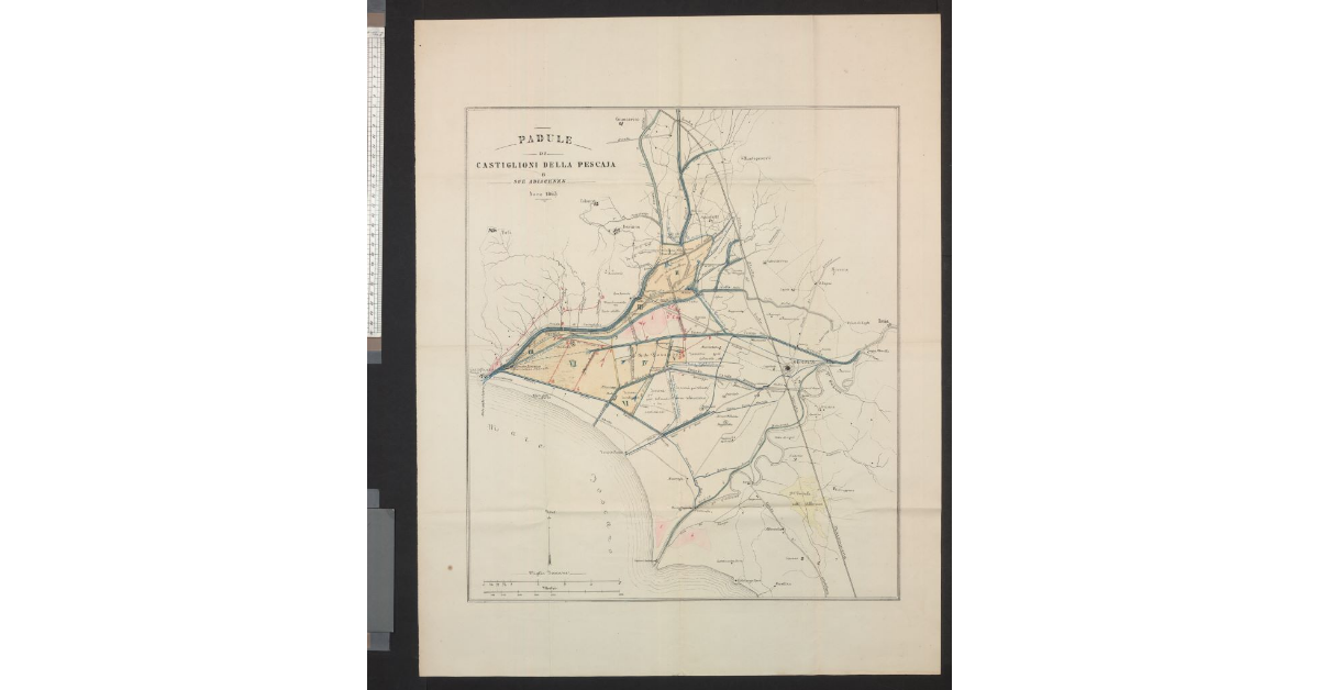 Padule di Castiglioni della Pescaia e sue adiacenze. Anno 1863