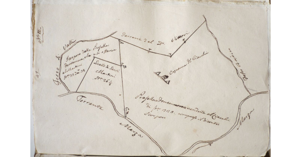 [Pianta della presella di Fontenuova venduta dal signor Ciacchi al signor Martini in territorio di Montieri]