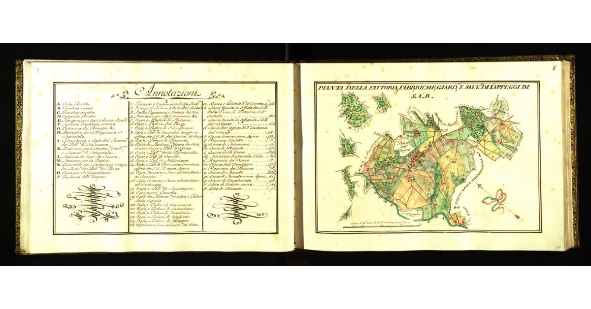 Pianta della fattoria, fabbriche, giardini e boschi di Lappeggi [a Bagno a Ripoli] di S.A.R