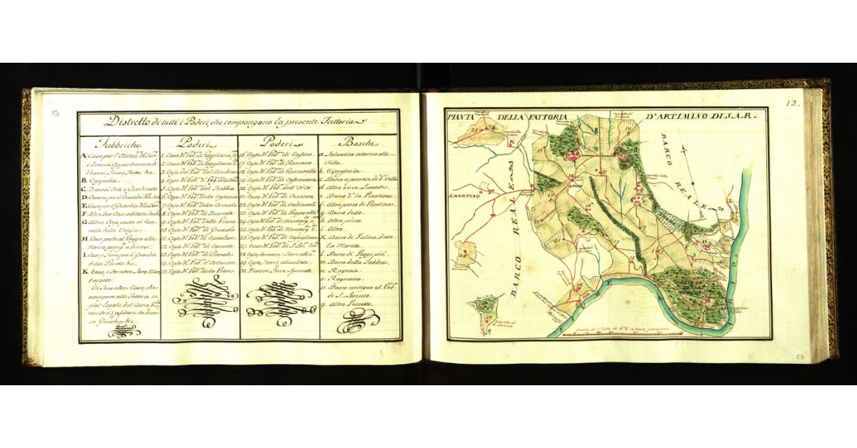 Pianta della fattoria di Artimino [a Carmignano] di S.A.R