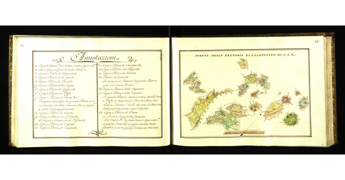 Pianta della fattoria di Calappiano [a Vinci] di S.A.R