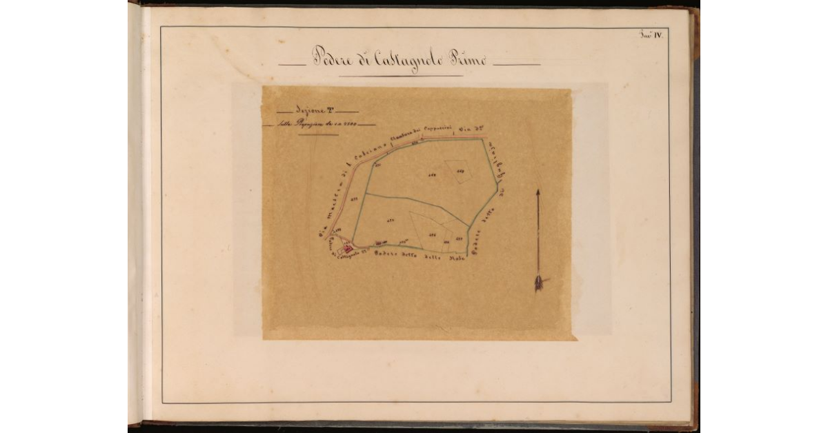 Podere di Castagnolo Primo