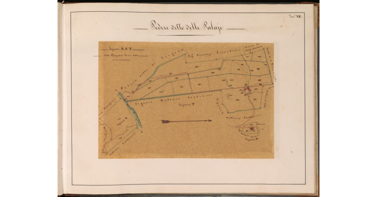 Podere detto delle Palaje